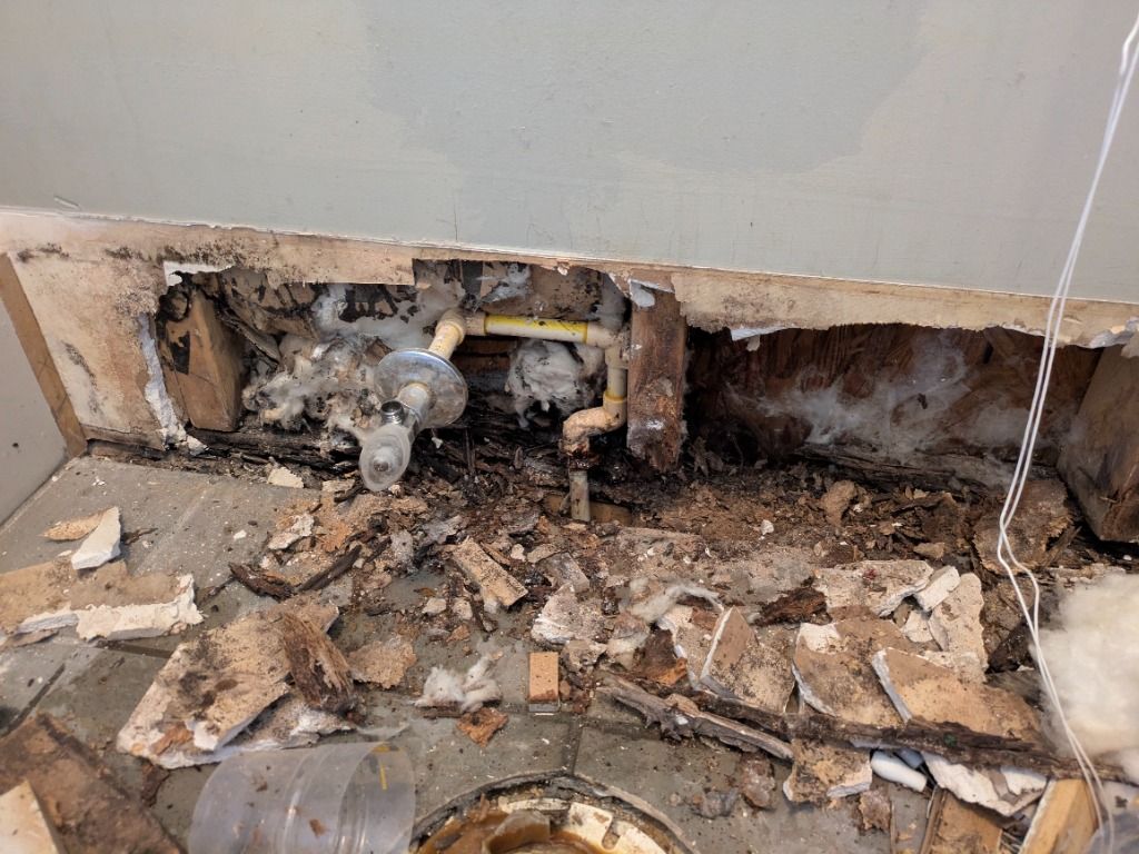 Rotted wall studs and mold